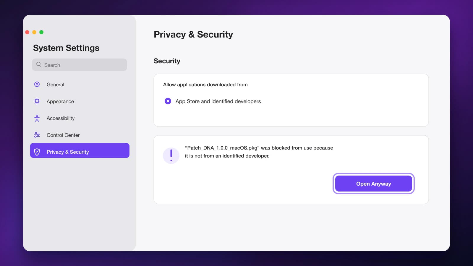 macOS Privacy and Security settings with the Open Anyway button highlighted